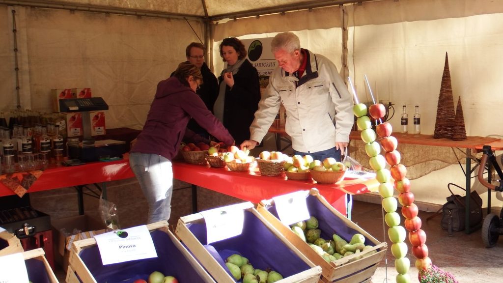 Ausstellung verschiedener Apfel- und Birnensorten