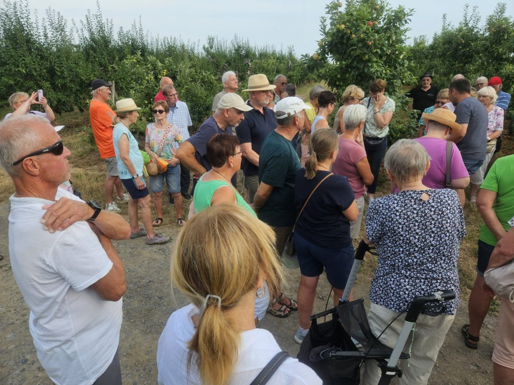 Teilnehmende des OGV in der Apfelplantage