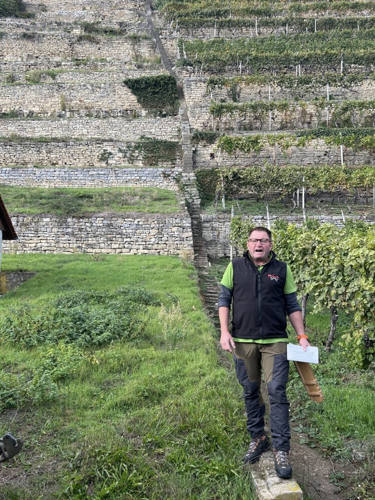 Führung an einer Weinbergstaffel in der Steillage