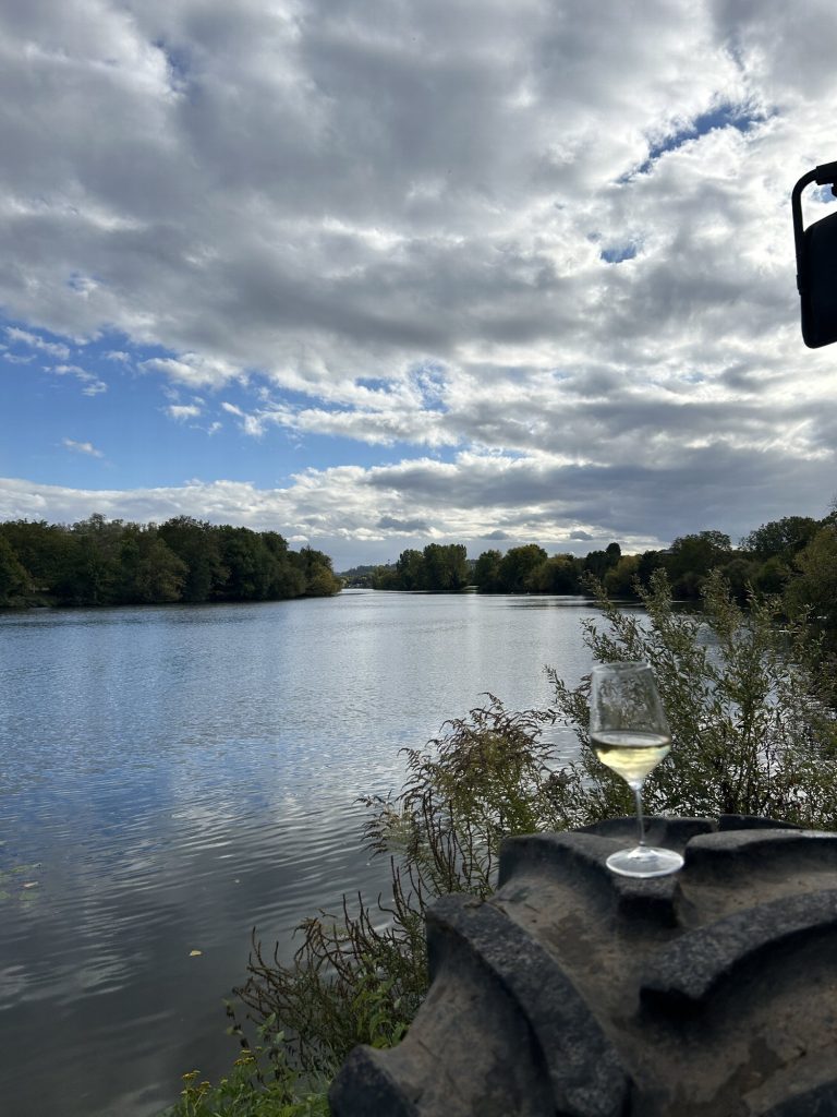 Blick über den Neckar