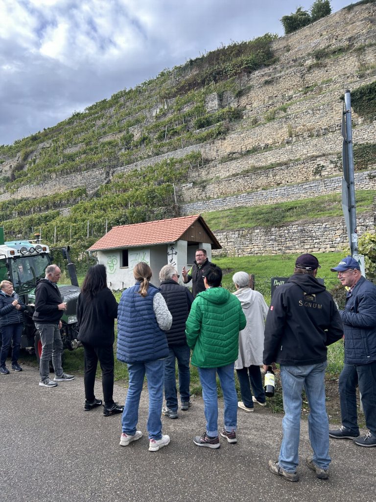 Gruppe vor den Steillagen am Neckar